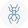 Ant Removals In Whickham