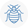 Bed Bug Extermination In Whickham