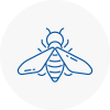 Bee Nest Removal Whickham
