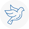 Bird Prevention Whickham