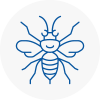 Whickham Hornet Nest Removals