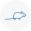 Mice Exterminators In Whickham