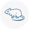 Rat Control Whickham
