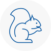 Whickham Rodent Removals